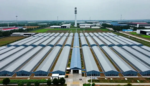 研学旅行选型中的关键要素与维护建议